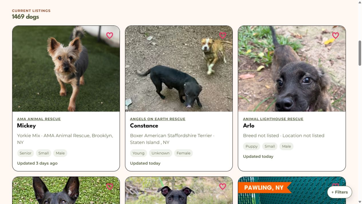 Just Rescues dog cards showing photos, rescue names, attributes, and freshness labels