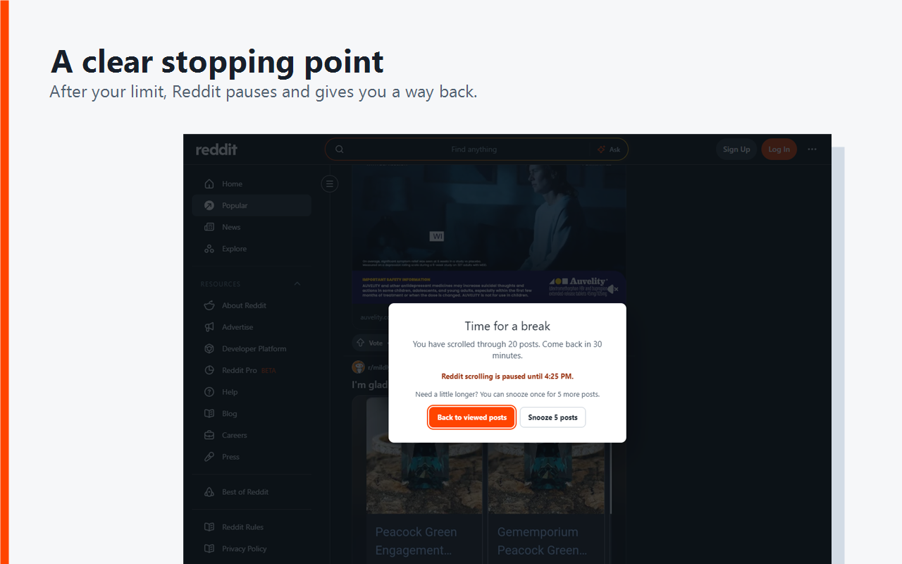 Reddit Scroll Limiter break message on Reddit
